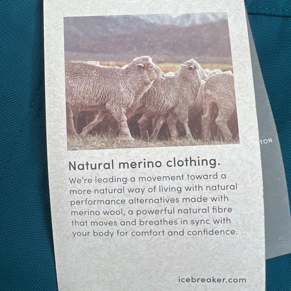 ICEBREAKER MERINO MENS HIKING SHORTS - Picture 4 of 6
